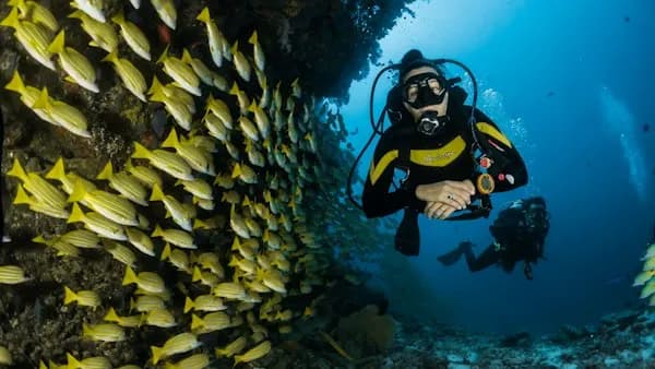 Aquatic Animals - English to Bengali Vocabulary Words