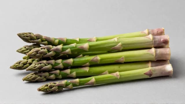 Asparagus visual illustration - Meaning in German (Spargel)