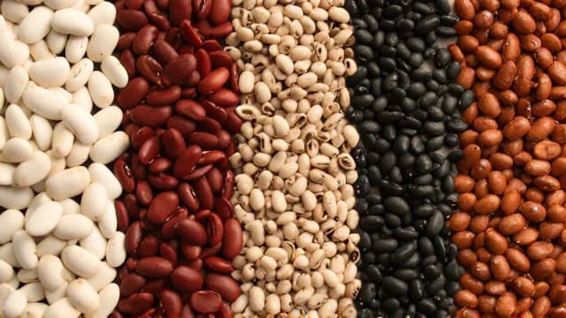 Beans visual illustration - Meaning in Bengali (শিম)
