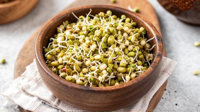 Beansprout visual illustration - Meaning in Bengali (শিম অঙ্কুর)