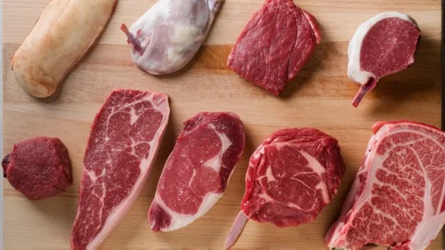 Beef visual illustration - Meaning in Bengali (গরু)