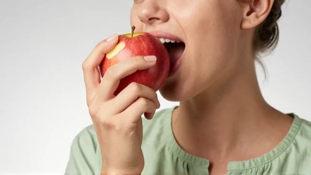Bite visual illustration - Meaning in Bengali (কামড়)