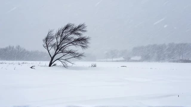Blizzard visual illustration - Meaning in Marathi (वादळ)