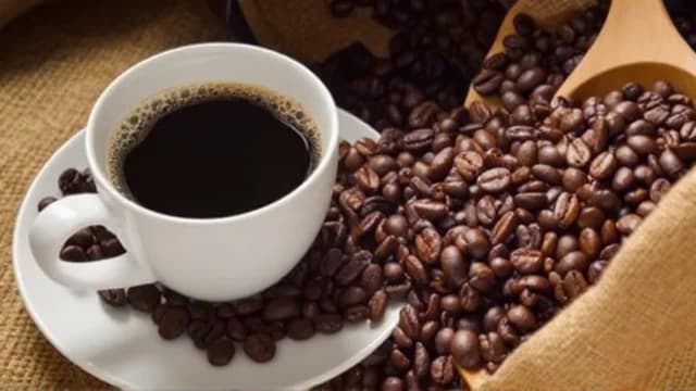Coffee visual illustration - Meaning in Bengali (কফি)