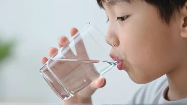 Drink visual illustration - Meaning in Bengali (পান করা)