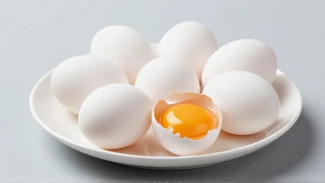 Egg visual illustration - Meaning in Bengali (ডিম)
