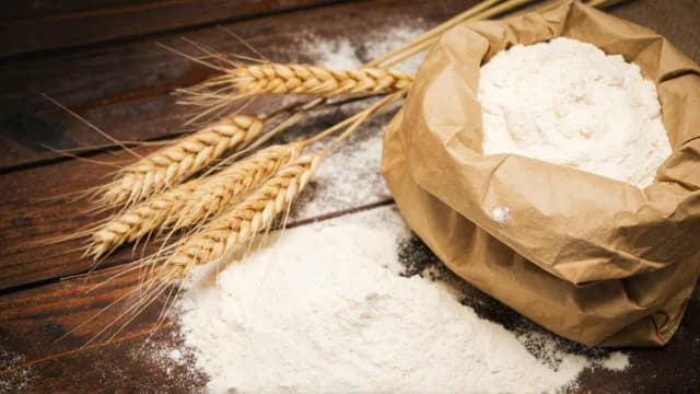 Flour visual illustration - Meaning in Bengali (ময়দা)