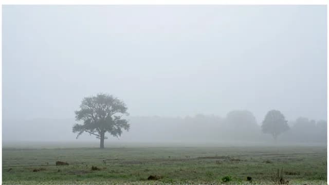 Foggy visual illustration - Meaning in Tamil (மூடுபனி)