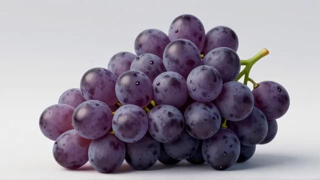 Grape visual illustration - Meaning in Arabic (عِنَب)