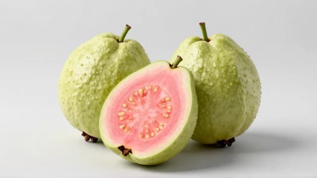 Guava visual illustration - Meaning in Turkish (guava)