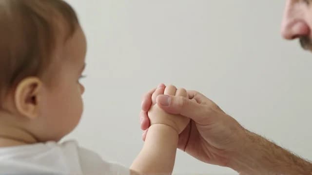 Hold visual illustration - Meaning in Bengali (ধরা)