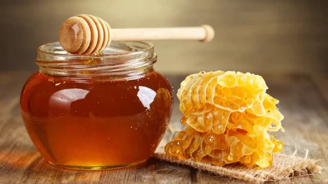 Honey visual illustration - Meaning in Bengali (মধু)
