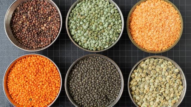 Lentils visual illustration - Meaning in Bengali (মসুর ডাল)