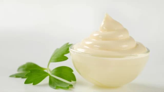 Mayonnaise visual illustration - Meaning in Bengali (মেয়োনিজ)