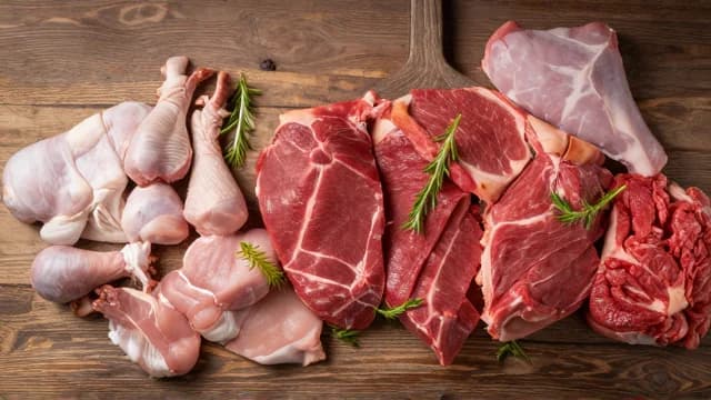 Meat visual illustration - Meaning in Bengali (মাংস)