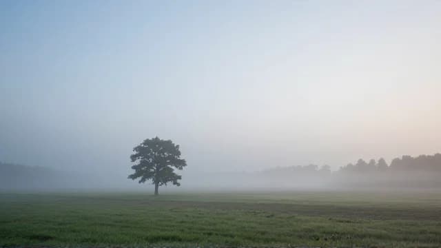 Misty visual illustration - Meaning in German (neblig)