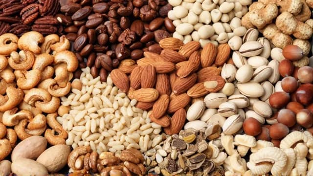 Nuts visual illustration - Meaning in Bengali (বাদাম)