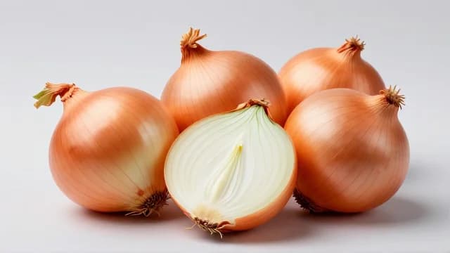 Onion visual illustration - Meaning in Turkish (soğan)