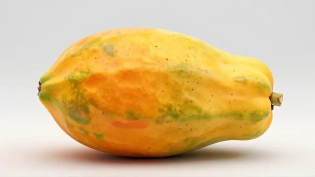 Papaya visual illustration - Meaning in Italian (papaya)