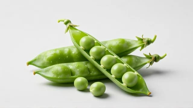 Peas visual illustration - Meaning in Italian (piselli)