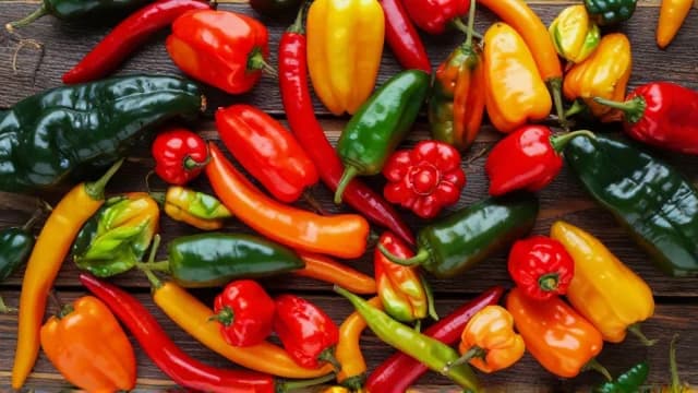 Pepper visual illustration - Meaning in Bengali (গোলমরিচ)