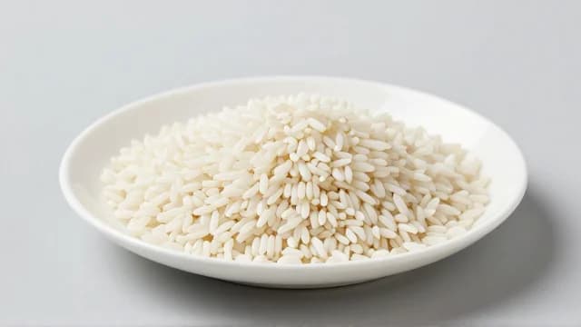 Rice visual illustration - Meaning in Bengali (চাল)