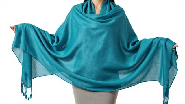 Shawl visual illustration - Meaning in Bengali (শাল)