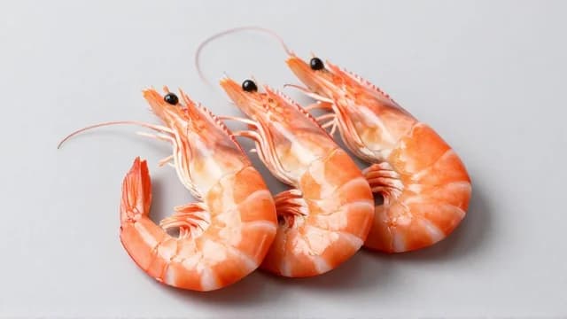 Shrimp visual illustration - Meaning in German (Garnelen)