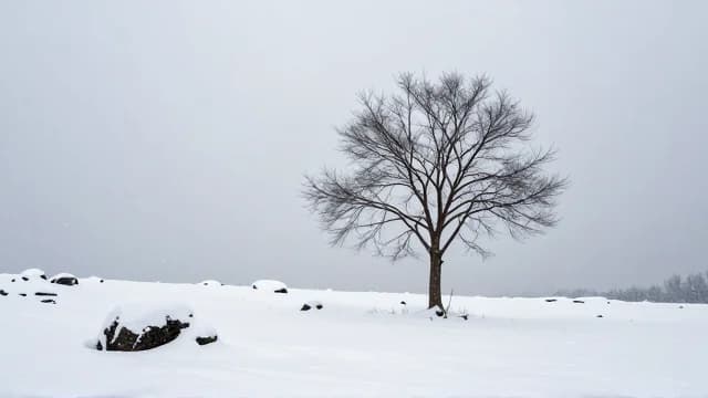 Snow visual illustration - Meaning in Arabic (ثلج)