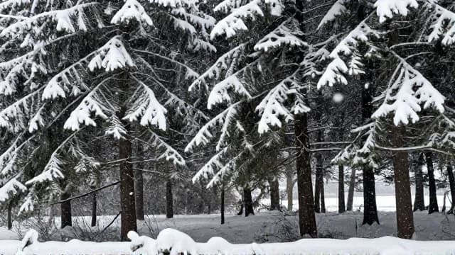 Snowfall visual illustration - Meaning in Spanish (nevada)