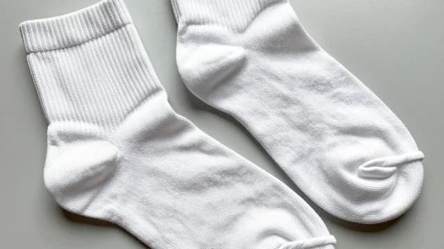 Socks visual illustration - Meaning in Bengali (মোজা)