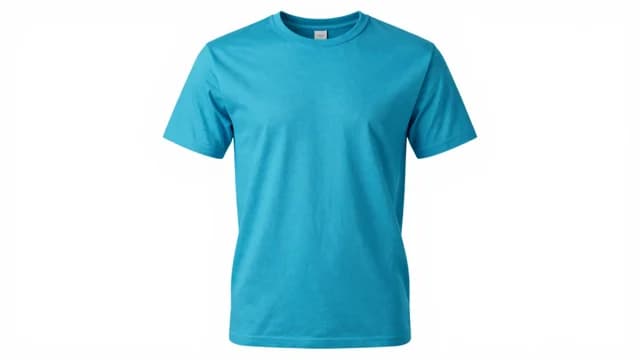 Tshirt visual illustration - Meaning in Bengali (টি-শার্ট)