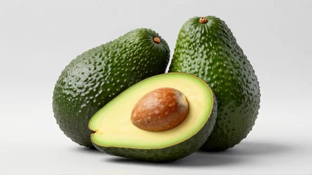 Avocado visual illustration - Meaning in Portuguese (abacate)