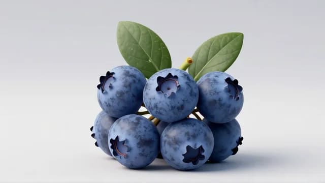 Blueberry visual illustration - Meaning in Turkish (yaban mersini)