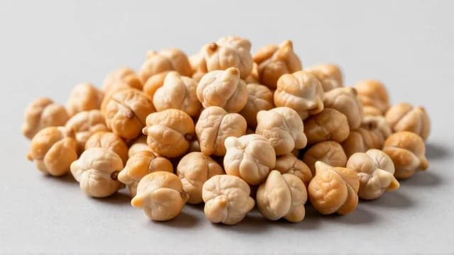 Chickpea visual illustration - Meaning in Tamil (கொண்டைக்கடலை)