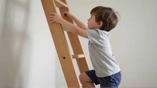 Climb visual illustration - Meaning in Bengali (আরোহণ করা)
