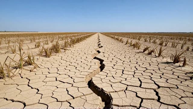Drought visual illustration - Meaning in Korean (가뭄)