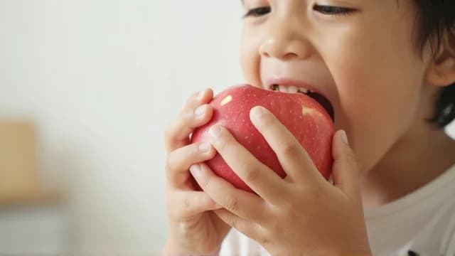 Eat visual illustration - Meaning in Bengali (খাওয়া)