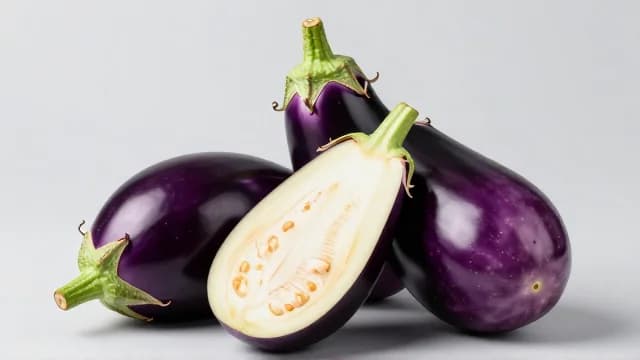 Eggplant visual illustration - Meaning in Korean (가지)