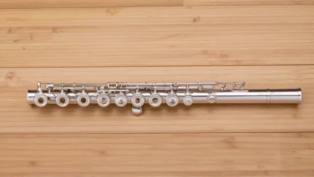 Flute visual illustration - Meaning in Turkish (flüt)