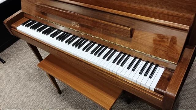 Piano visual illustration - Meaning in Italian (pianoforte)