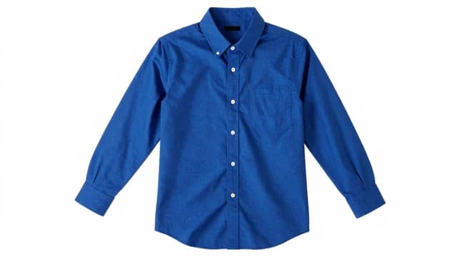 Shirt visual illustration - Meaning in Bengali (শার্ট)