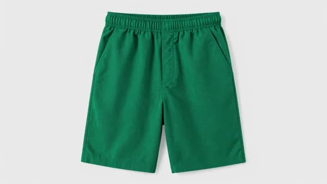 Shorts visual illustration - Meaning in Bengali (শর্টস)