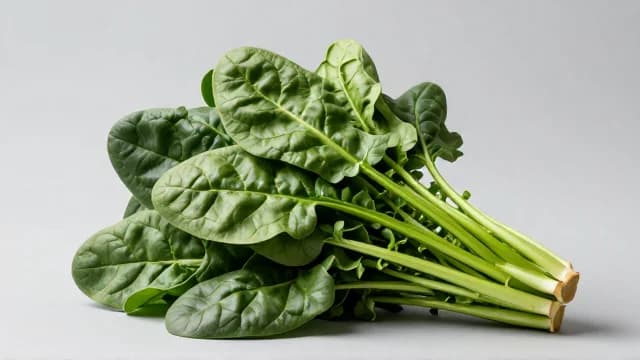Spinach visual illustration - Meaning in Vietnamese (rau chân vịt)