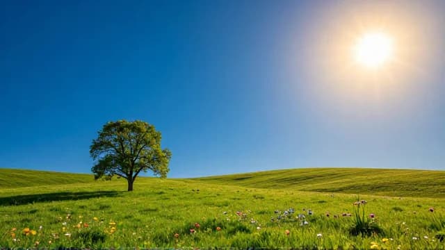 Sunny visual illustration - Meaning in Italian (soleggiato)