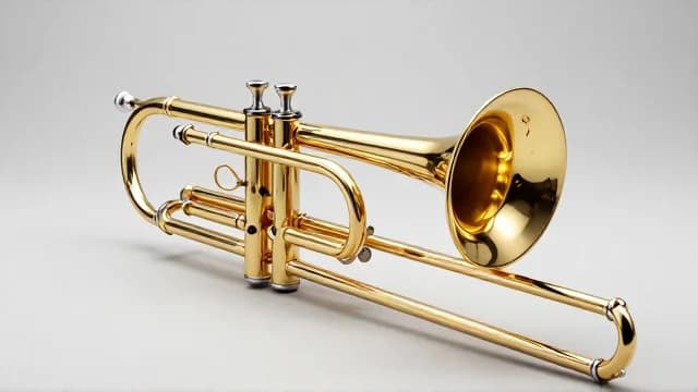 Trombone visual illustration - Meaning in Turkish (trombon)