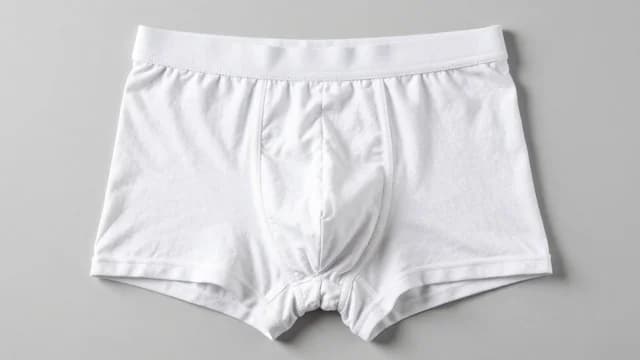 Underwear visual illustration - Meaning in Bengali (অন্তর্বাস)